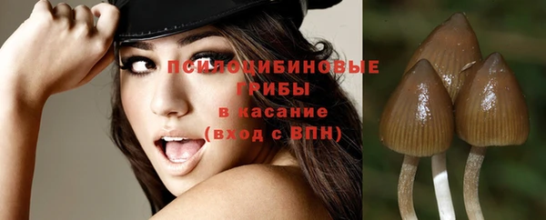 спайс Абинск